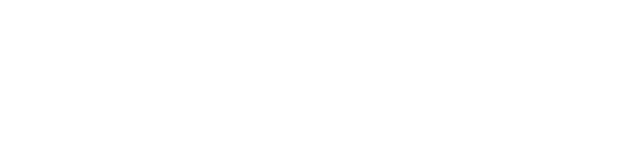 birdie's wordmark: white